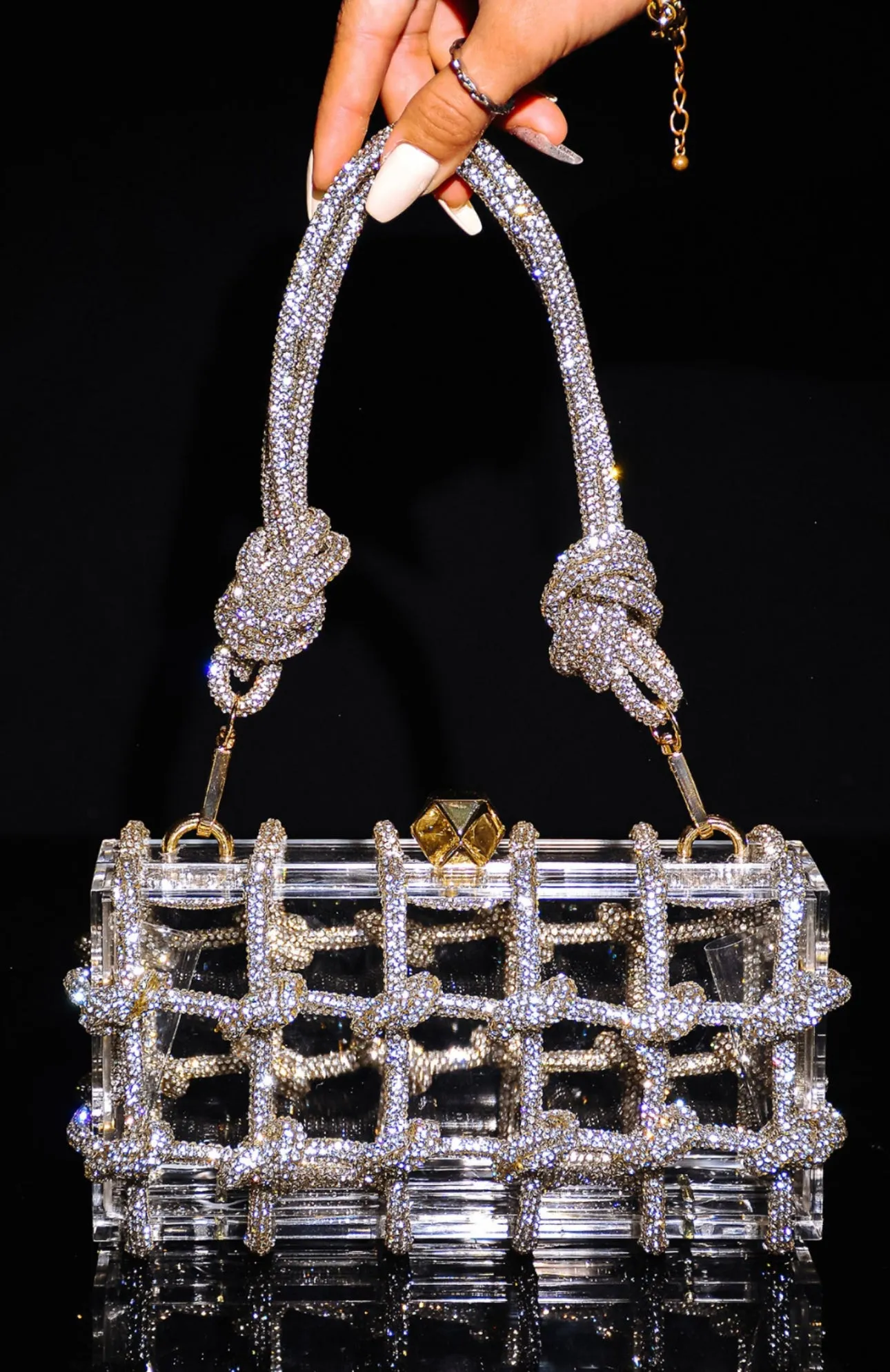 Clear Handbag With Crystal Roping